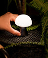 IZI Lexon Mina Mini French-Designed LED Lamp | 12 Hours Battery | Cold and Warm Light Control | Memory Dimmer Function | Rechargeable | USB-C Charging