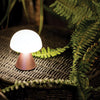 izi-lexon-mina-mini-led-lamp